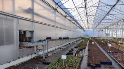 Kas van een boomkwekerij