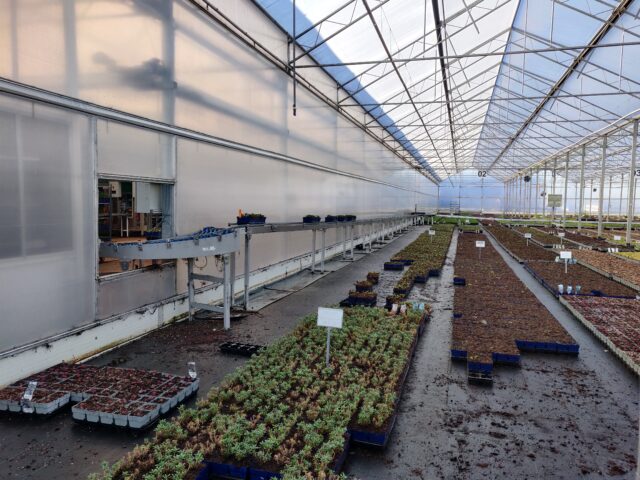 Kas van een boomkwekerij