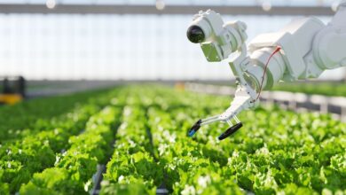 Hydroponic robotics in agrifood Hydroponic robotics in agrifood